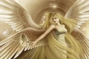 Ailes anges gardiens