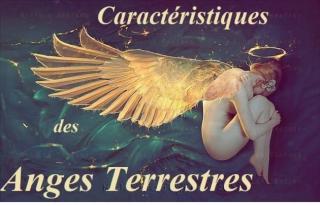 Angeterrestre