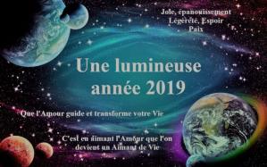 Bonne annee 2019