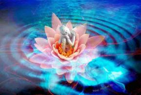 Bouddha lotus