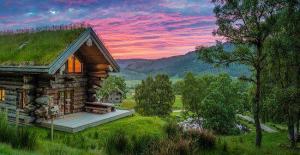 Cabane en nature