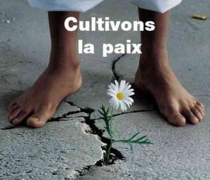 Cultivons la paix