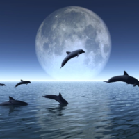 Stimulez votre intuition