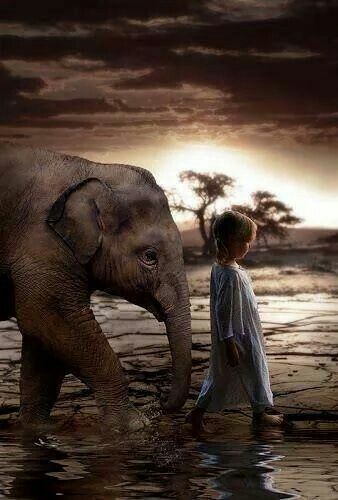 Enfant elephant