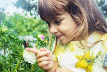 Enfant papillon dans ses mains