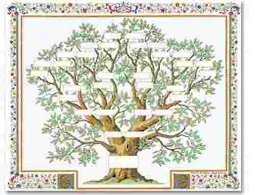 Famille arbre