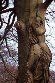 Femme arbre
