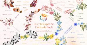 Fleur elixirs bach fleur de bach