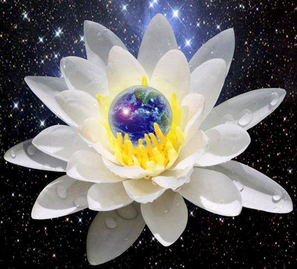 Gaia lotus