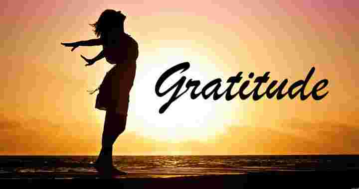 Gratitude