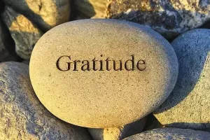 Gratitude