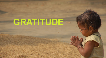 Gratitude