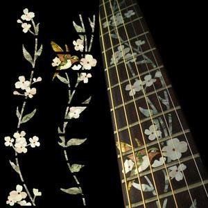 Guitare fleurs