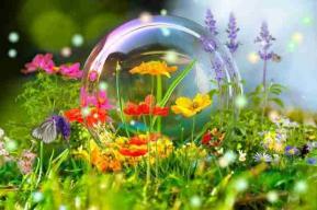 Jardin bulle