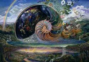 Josephine wall nautilus