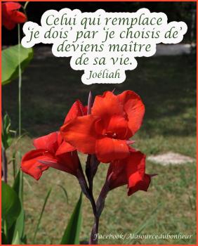 Le choix