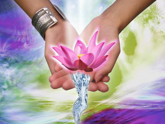 Mains lotus eau