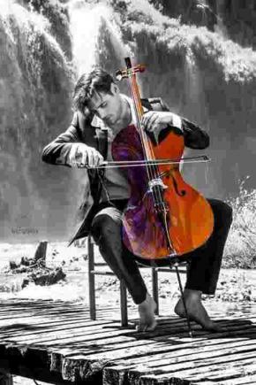 Musique homme violon