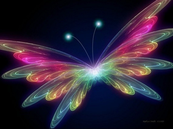 Papillon arc en ciel