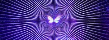 Papillon lumineux3