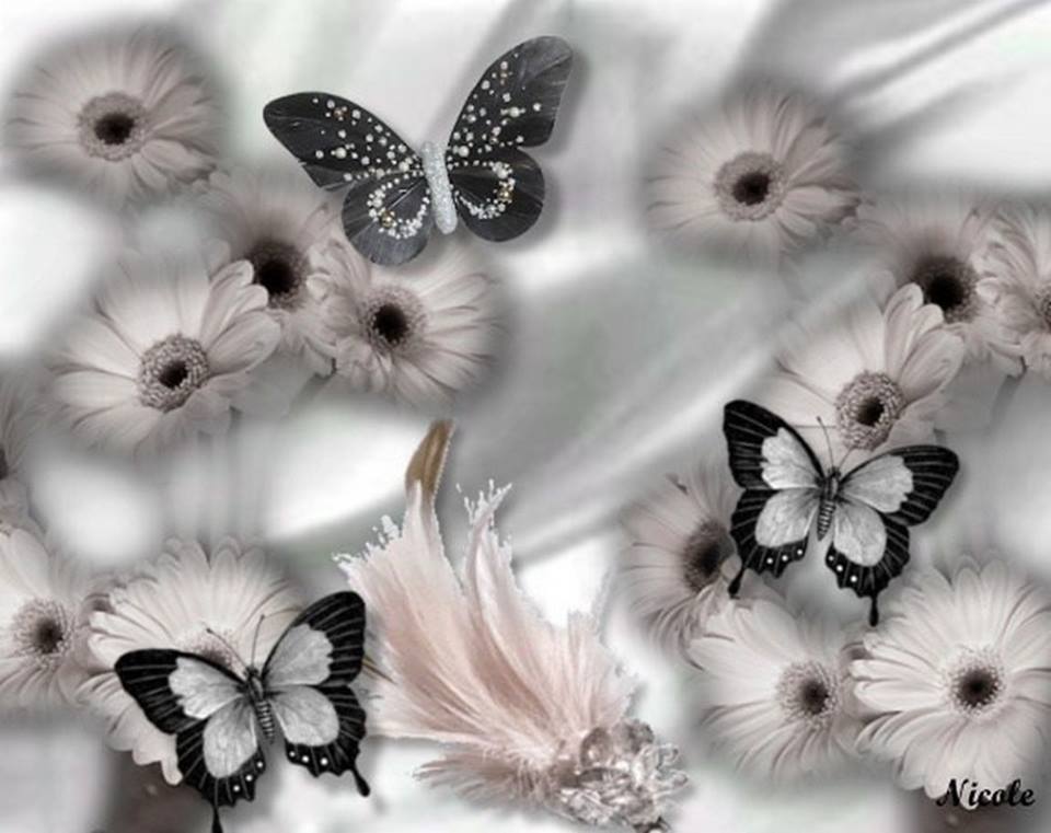 Papillons