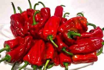 Piments