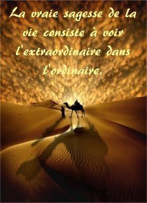 Sagesse