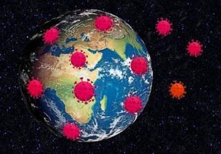 Terre virus